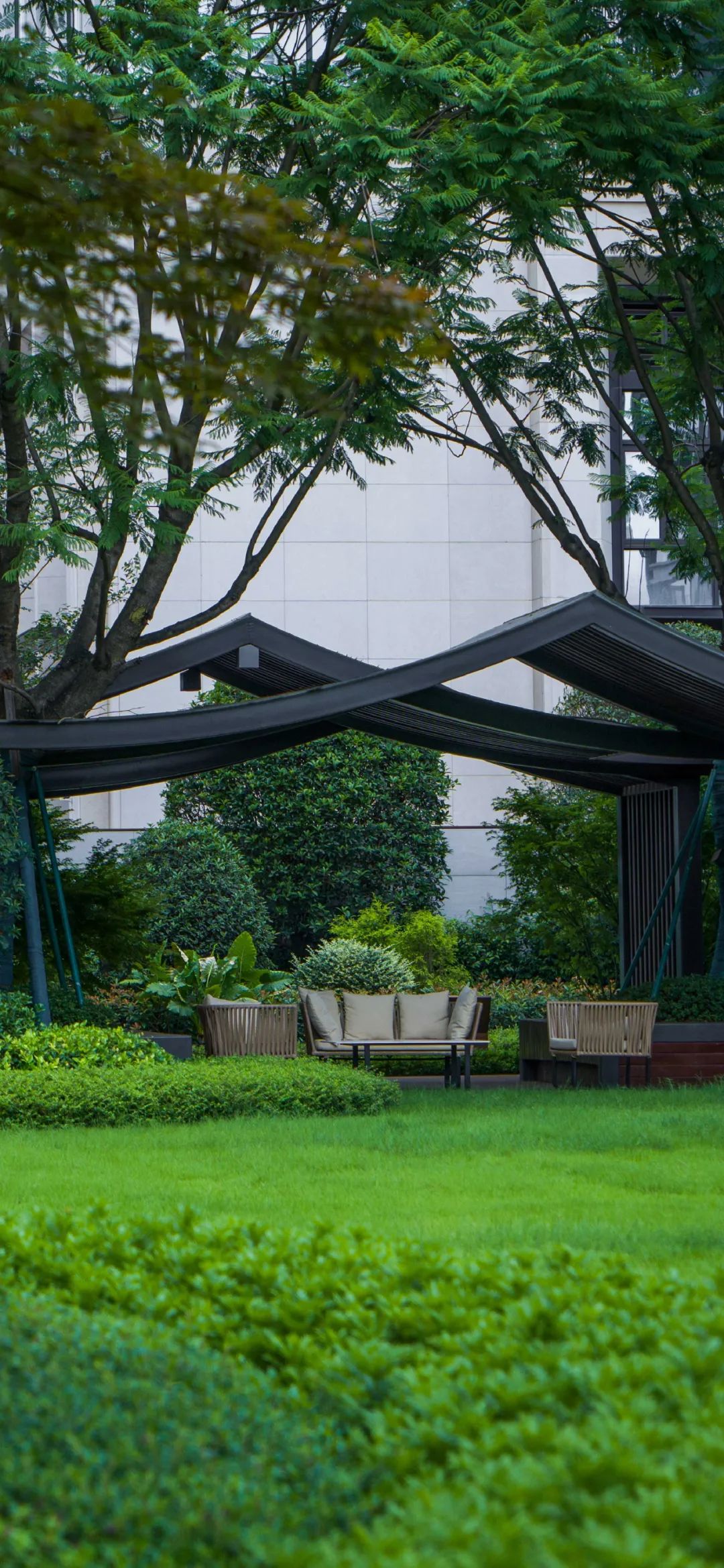 202304101010039830424