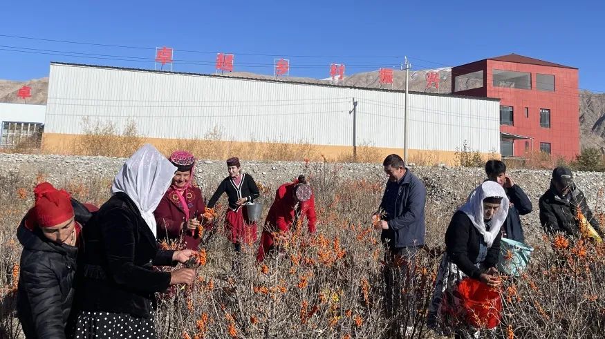 202401291216074078711