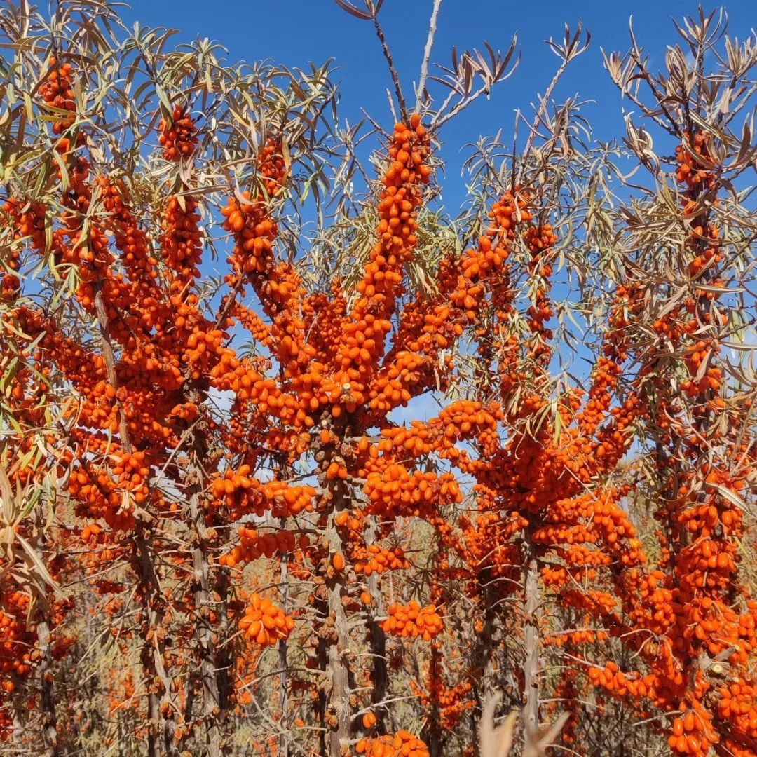 202401291216094102764