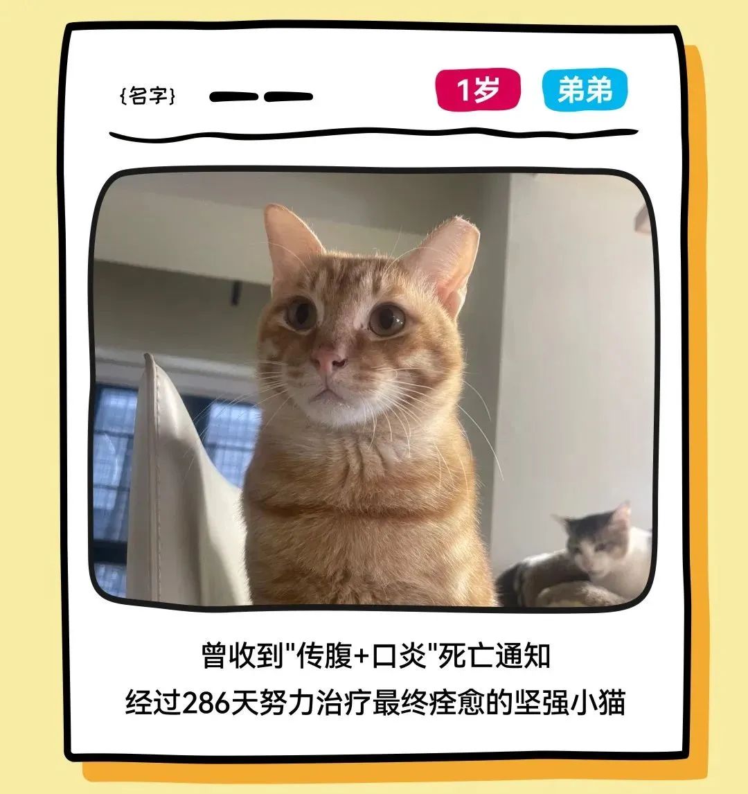 202506111028319761253