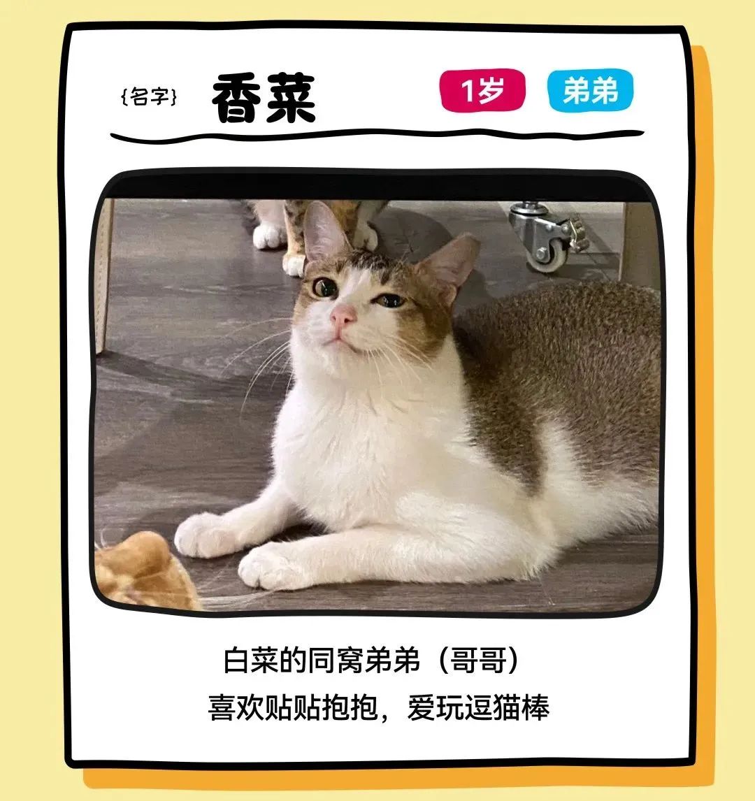 202506111028326541264