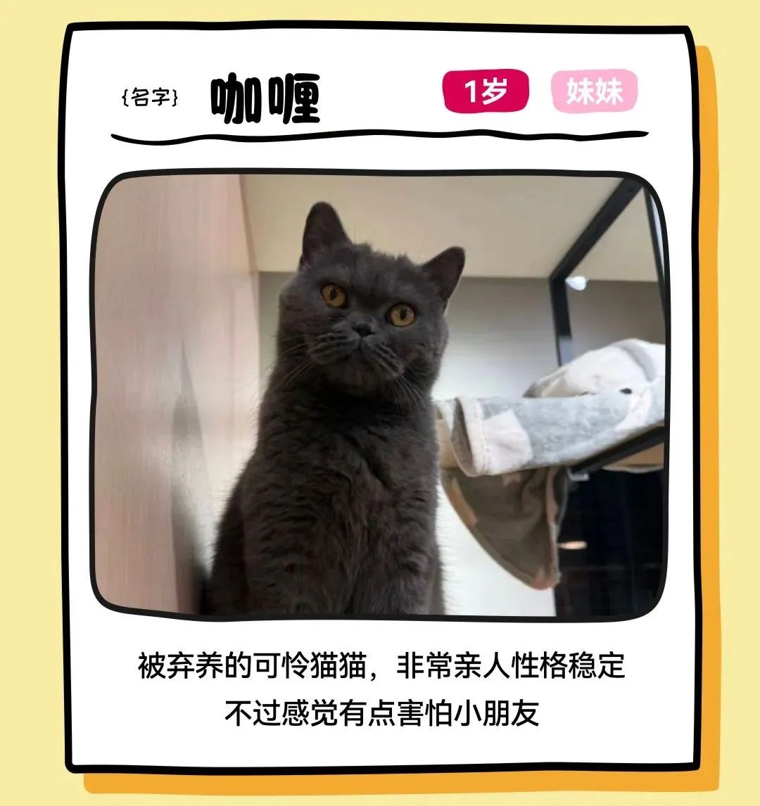 202506111028327201274