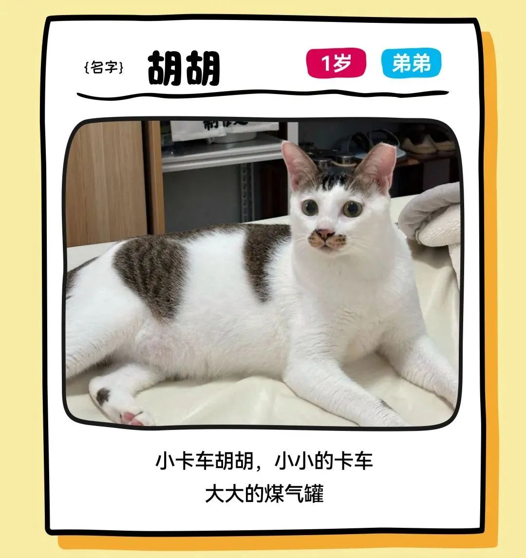 202506111028328111265