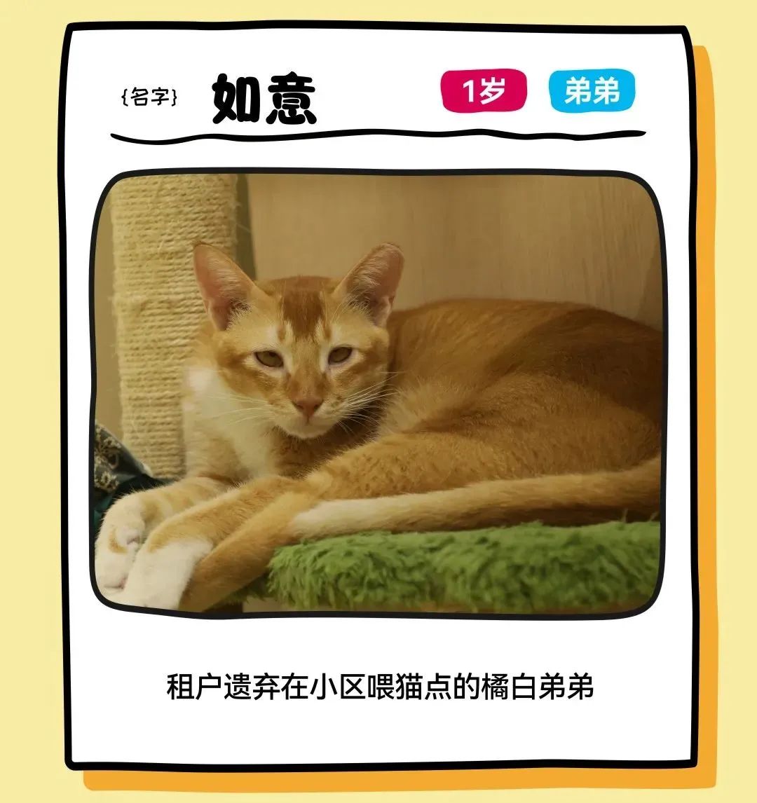 202506111028332061272